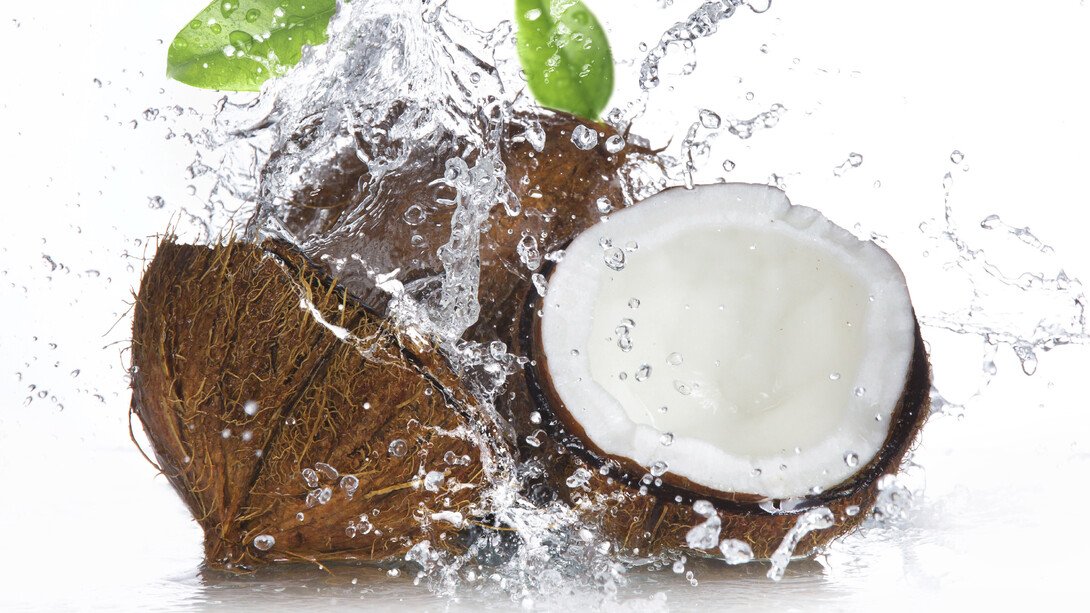 Air Kelapa: Minuman Elektrolit Alami untuk Hidrasi dan Pemulihan Tubuh