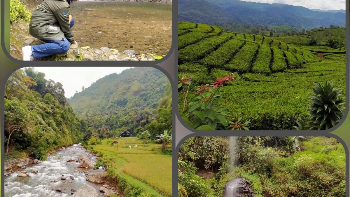 Rekomendasi 5 Wisata Alam Viral di Naringgul Cianjur, Cocok untuk Healing & Hunting Foto