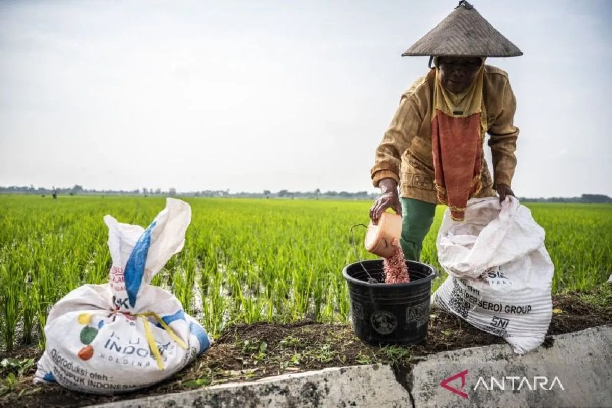 Penyaluran Pupuk Subsidi 2026 Lancar Sejak Pukul 00.00 WIB, Sistem Siap Digunakan
