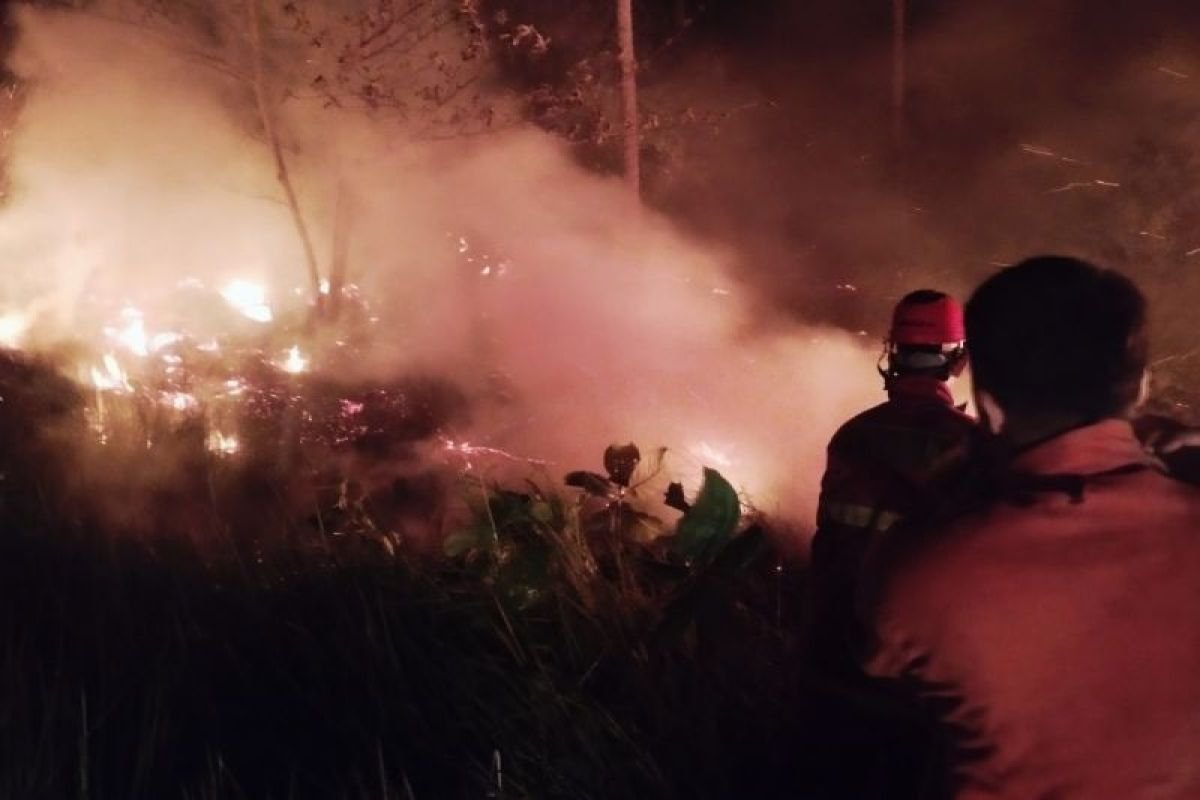 Kebakaran Lahan 3 Hektare di Natuna Berhasil Dikendalikan Pemkab