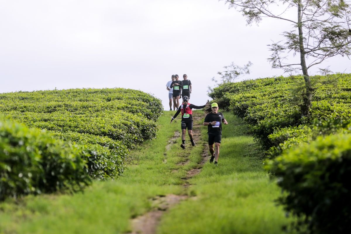 Pangalengan Diproyeksikan Jadi Pusat Atletik Nasional Lewat Running Summit 2026