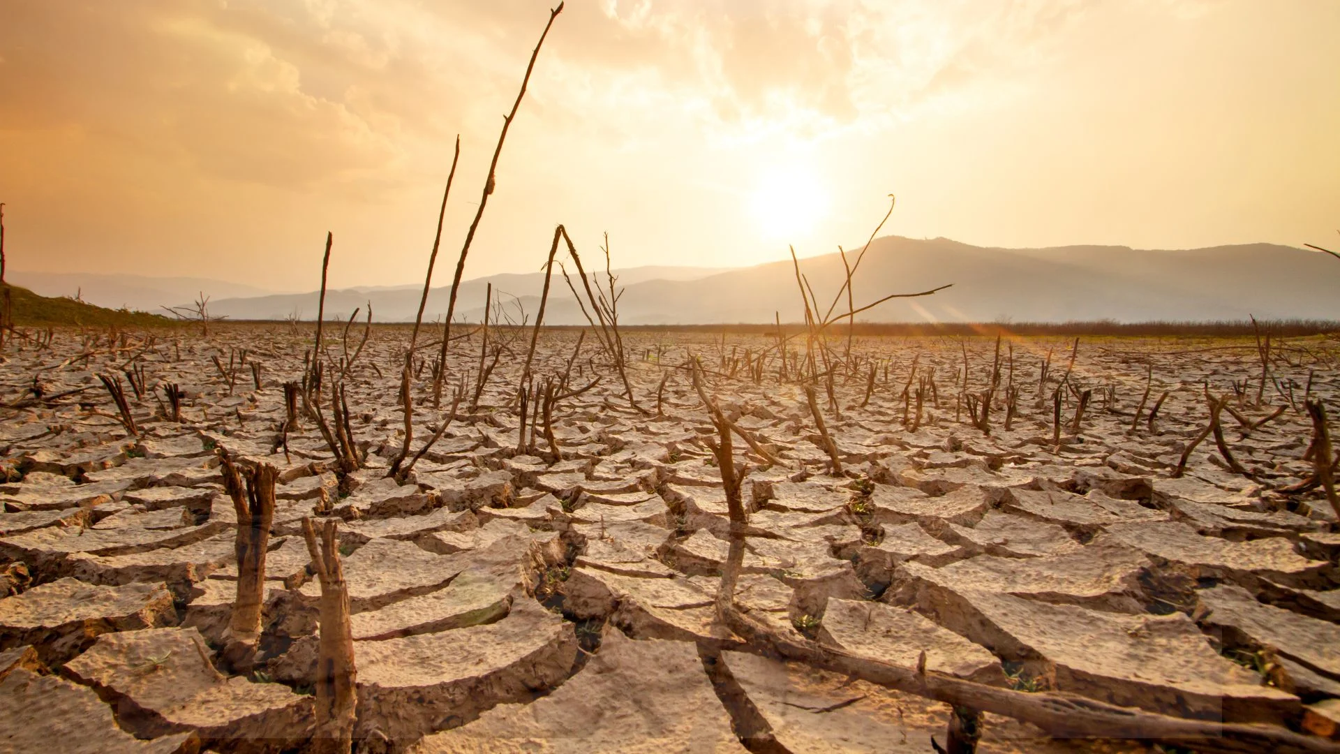 Bekasi, Karawang, Subang dan Indramayu Terancam Kemarau 4–5 Bulan
