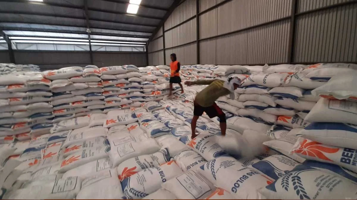Stok Beras Nasional Melonjak, Bulog Klaim Terbesar dalam 59 Tahun