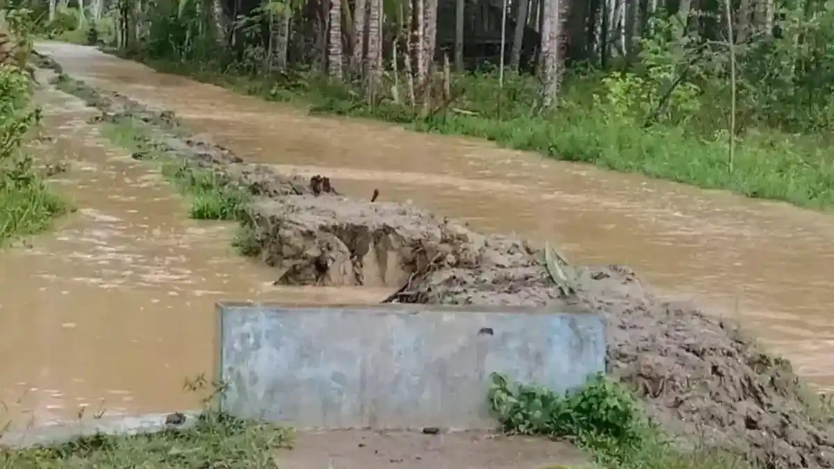 Banjir Rendam Dua Desa di Moutong, BPBD Lakukan Penanganan Darurat