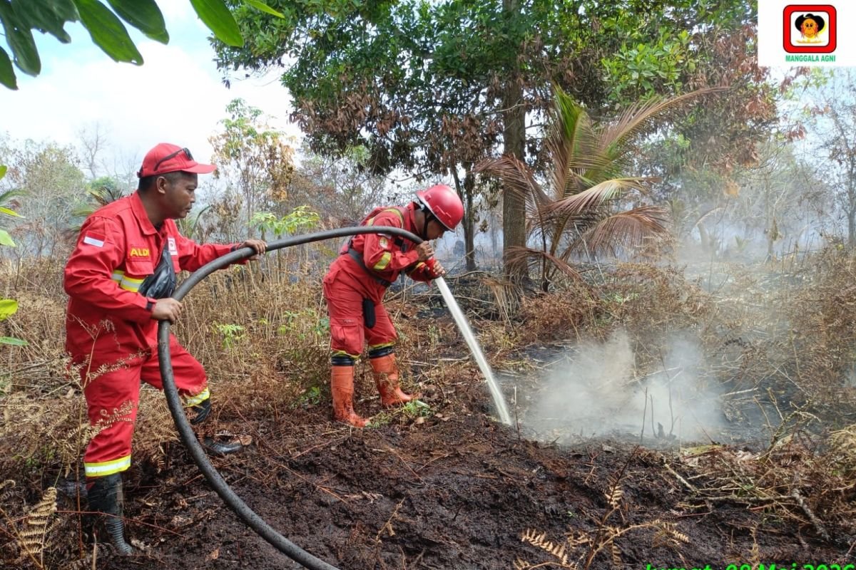Manggala Agni Berjibaku Padamkan Karhutla 20 Hektare di Siak Riau