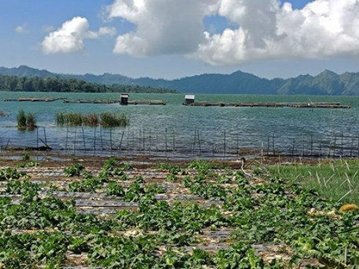 Pemerhati Lingkungan Soroti Penurunan Kualitas Air Danau di Bali
