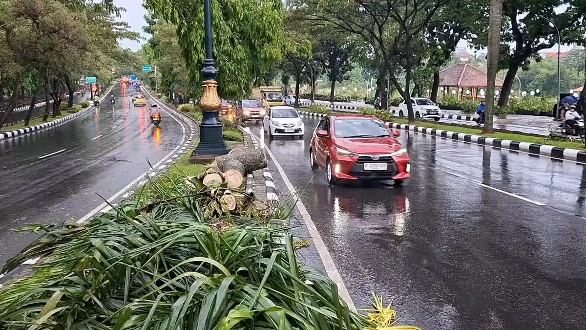 Hujan Disertai Angin Kencang, Pengendara Motor Tewas di Cibinong