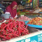 PIHPS Catat Harga Cabai Rawit Rp76.300 dan Telur Ayam Rp29.950 per Kg, Ini Daftar Lengkapnya