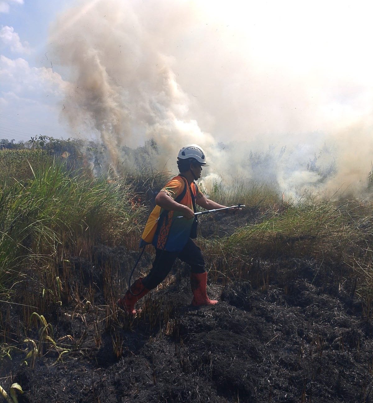 BNPB Kerahkan Tim Gabungan Padamkan Karhutla 5,3 Hektare di Kabupaten Banjar