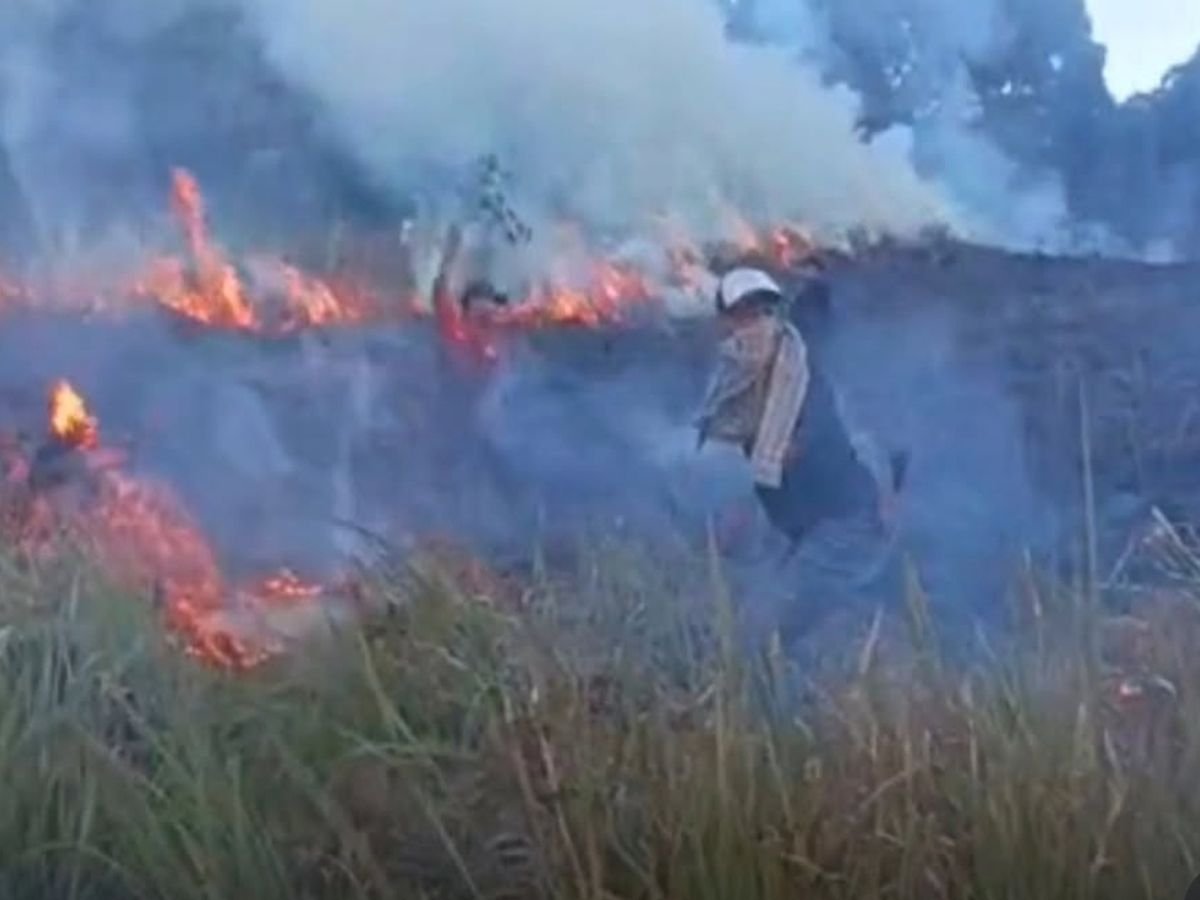Hutan Savana Rinjani Terbakar, Balai TNGR Kerahkan Tim Gabungan dan Imbau Kewaspadaan