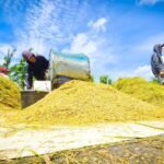 Kementan Percepat Pompanisasi untuk Antisipasi Dampak El Nino 2026