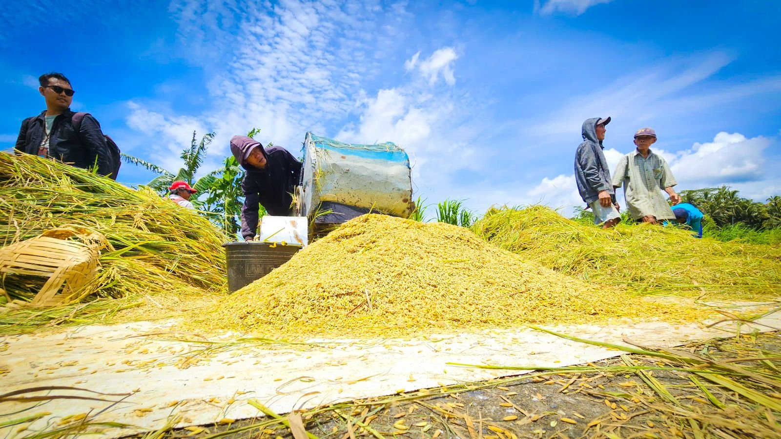 Kementan Percepat Pompanisasi untuk Antisipasi Dampak El Nino 2026