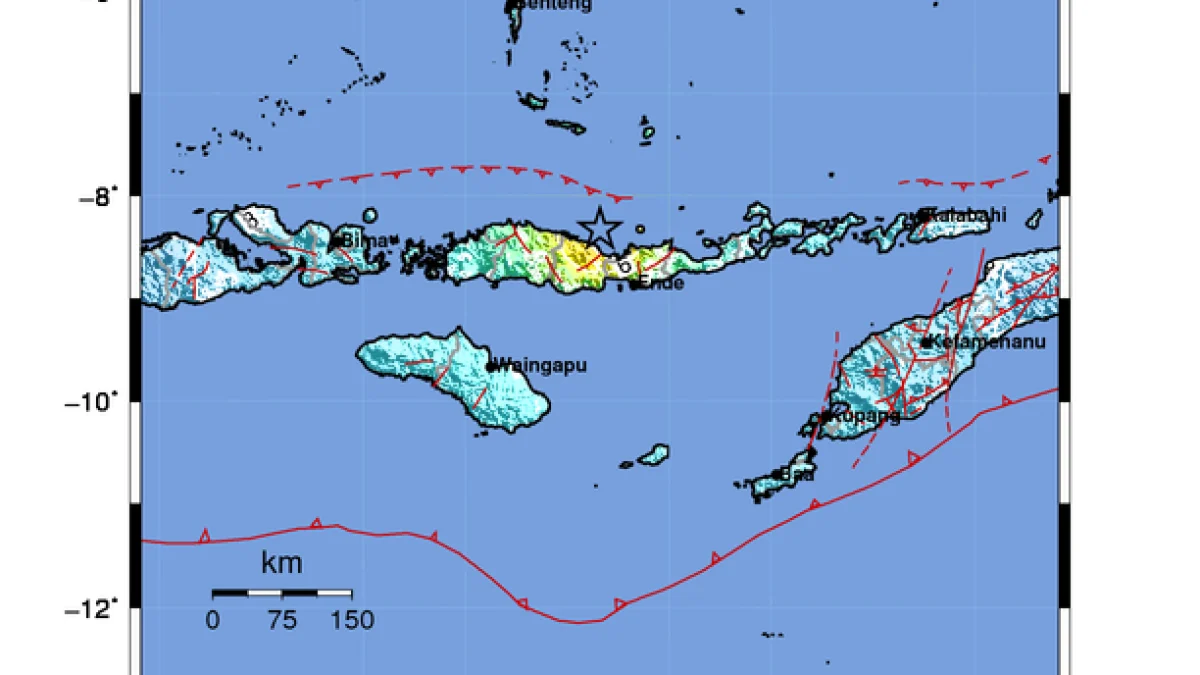 Gempa M 7,7 Guncang NTT, Satu Orang Meninggal dan Ribuan Warga Mengungsi