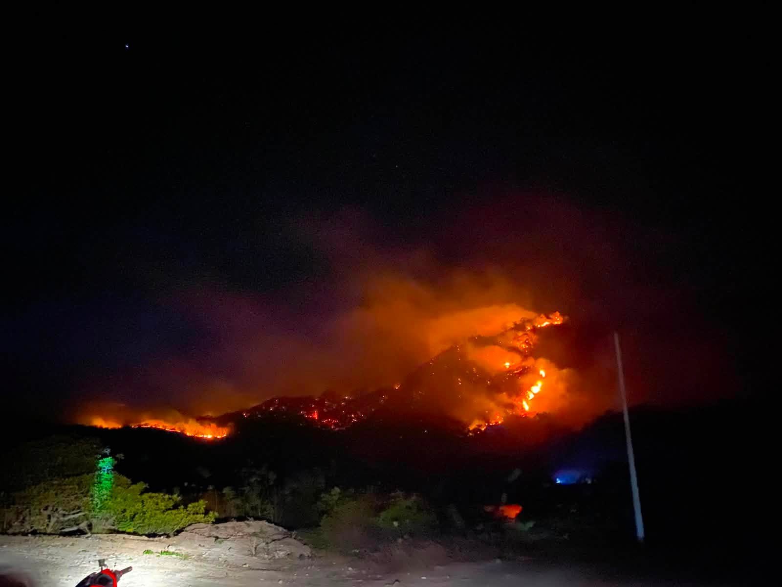 100 Hektare Lahan di Banggai Terbakar, BPBD Sebut Api Diduga Berasal dari Puntung Rokok
