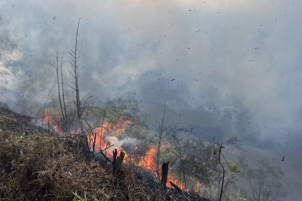 Kebakaran Hutan di Gunung Bromo, TNBTS Tutup Tiga Akses Wisata
