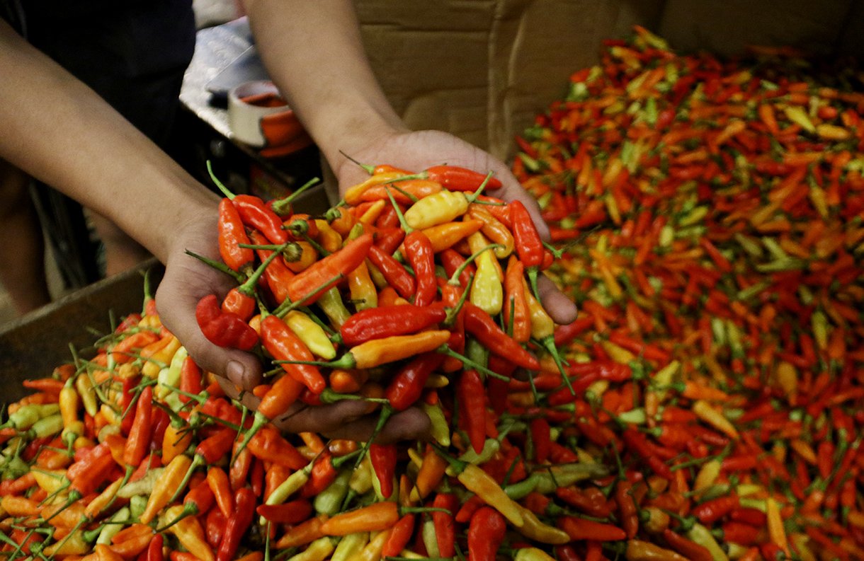 Harga Pangan Hari Ini: Cabai Rawit Rp113.750 dan Telur Ayam Rp29.400 per Kg