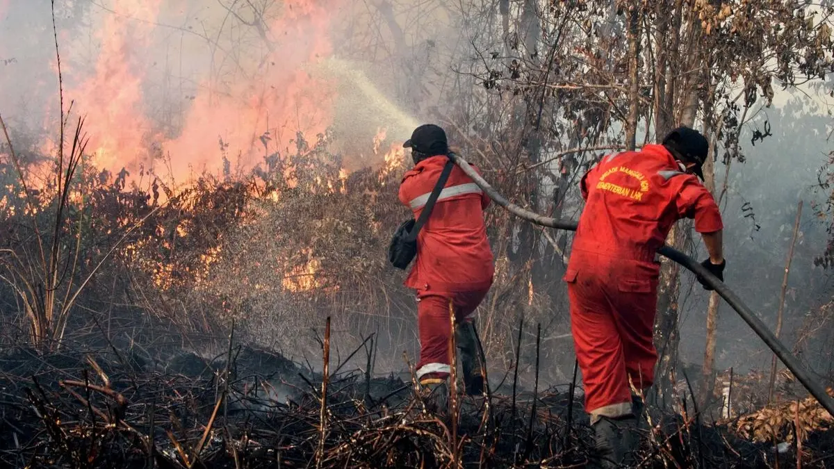 Kebakaran Lahan 4 Hektare Terjadi di Kawasan Taman Nasional Gunung Ciremai