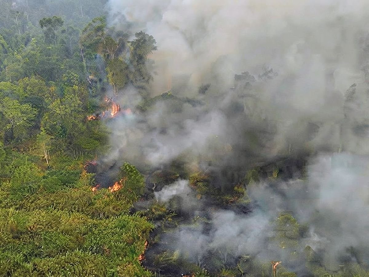 Kebakaran Gambut Bisa Sebabkan Tanah Ambles, Warga Diminta Waspadai Lubang Bara Api