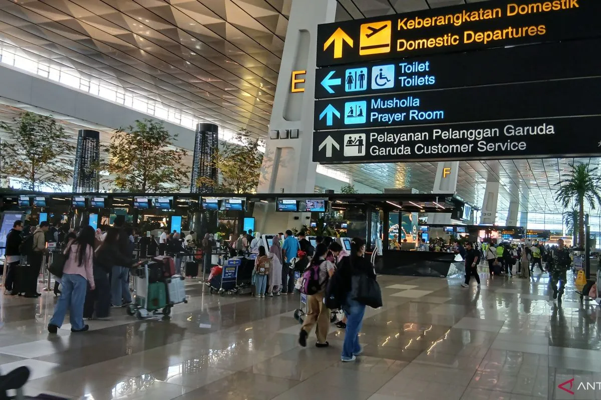 Tiket Pesawat Domestik Bisa Lebih Terjangkau, Pemerintah Gelontorkan Rp722 Miliar