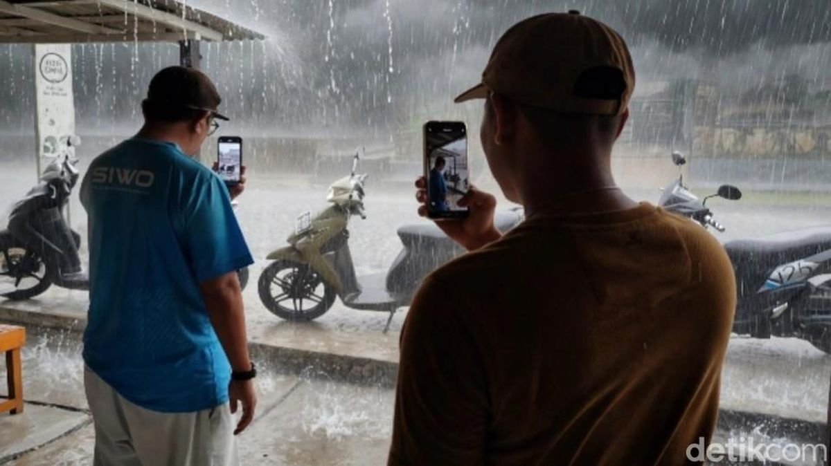 Tiga Kawasan Taman Nasional Tanjung Puting Diguyur Hujan, Petugas Tetap Pantau Titik Api
