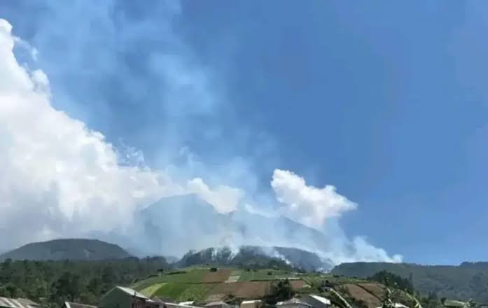 Karhutla Gunung Lawu Meluas di Karanganyar, Pendaki Diimbau Pantau Informasi Resmi