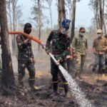 Kebakaran Hutan Way Kambas Masih Berlangsung, Tim Gabungan Berjuang Padamkan Api Gambut