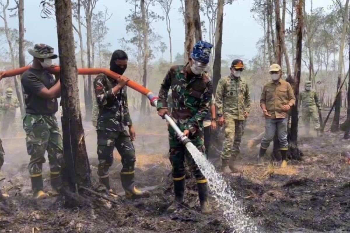 Kebakaran Hutan Way Kambas Masih Berlangsung, Tim Gabungan Berjuang Padamkan Api Gambut
